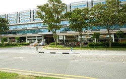 Vertex (D14), Factory #631649661